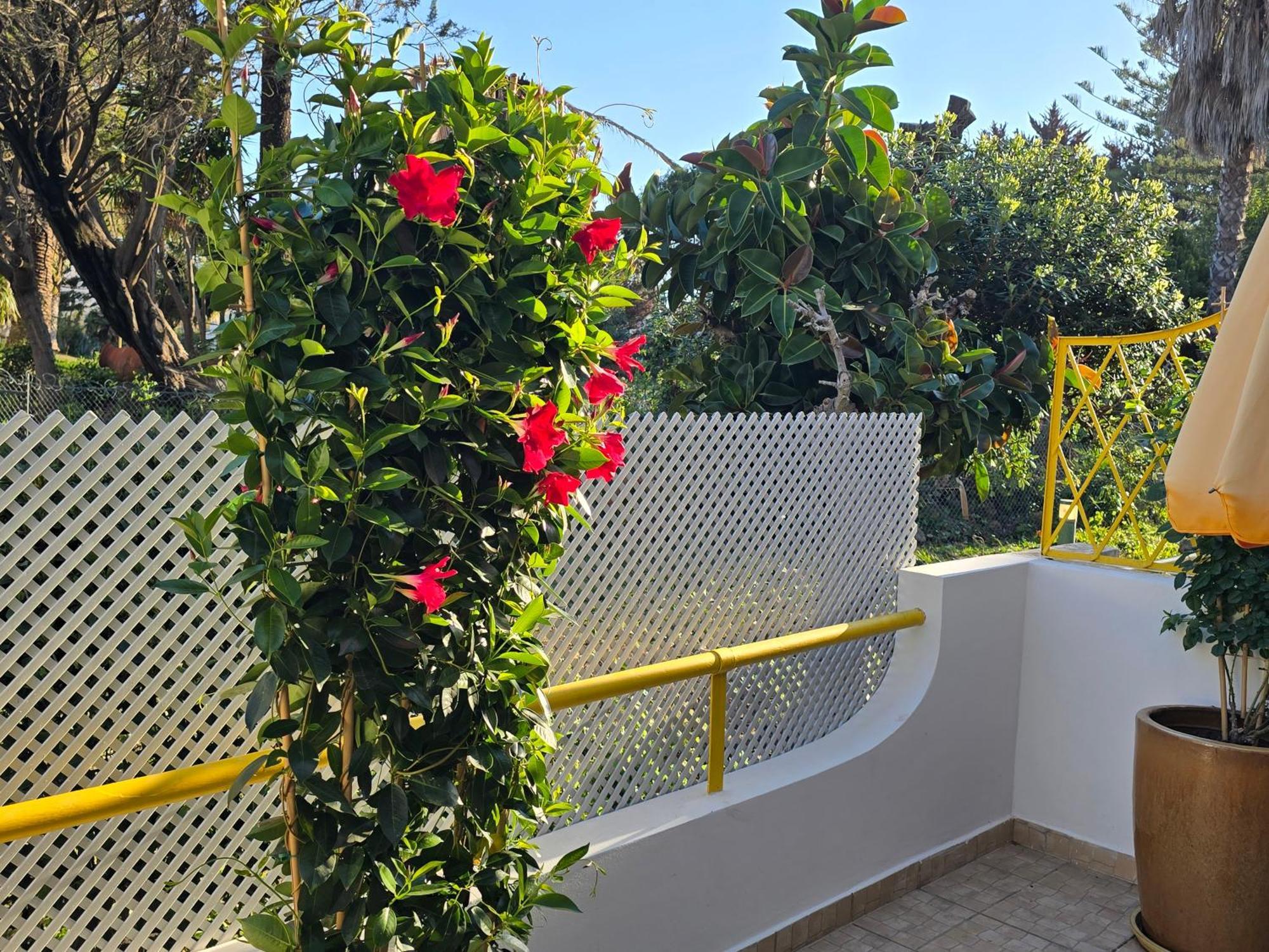 Apartamento Victoria Βιλαμούρα Εξωτερικό φωτογραφία