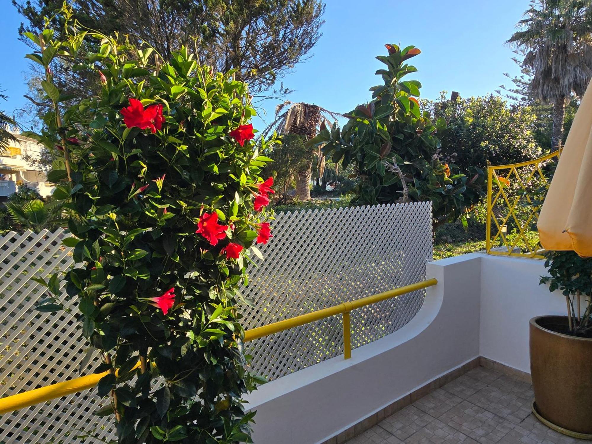 Apartamento Victoria Βιλαμούρα Εξωτερικό φωτογραφία